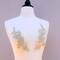 2 Pieces Beige Sequin Beaded Lace Applique Pair Alencon Lace Embellishment for Gown